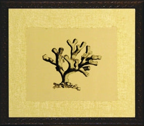 Coral on Khaki Series Set of 4 II 8
