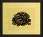 Coral on Khaki Series Set of 4 I 8