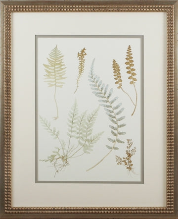 Small Fern Impressions D set of 4 8