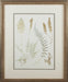 Small Fern Impressions D set of 4 8