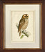 Tencmalms Owl II 7