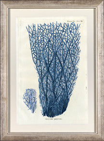 Vertical Blue Coral I 7