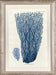Vertical Blue Coral I 7