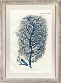 Vertical Blue Coral II 7