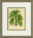 Small Island Palm I 8