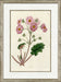 Medium Antique Blush Floral I 7