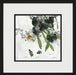 Asian Botanical 1 7
