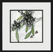 Asian Botanical 2 7