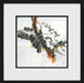 Asian Botanical 4 7