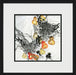 Asian Botanical 5 7