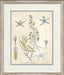 Blue Blossoms 1 8