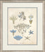 Blue Blossoms 2 8