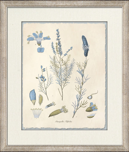 Blue Blossoms 3 8