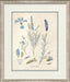 Blue Blossoms 3 8