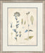 Blue Blossoms 5 8