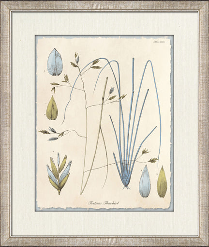 Blue Blossoms 6 8