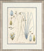 Blue Blossoms 6 8