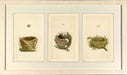 Morris Bird Nests II 7