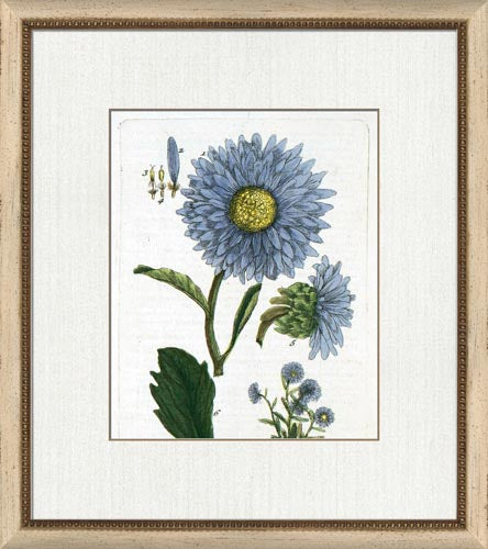 Botanical La Flore IV 8