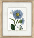 Botanical La Flore IV 8