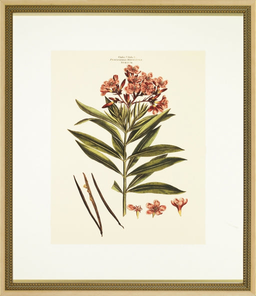 Blushing Pink Florals II 7