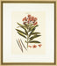Blushing Pink Florals II 7