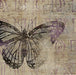 Stenciled In V 24W x 24H 6