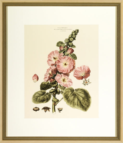 Blushing Pink Florals III 7