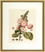 Blushing Pink Florals III 7