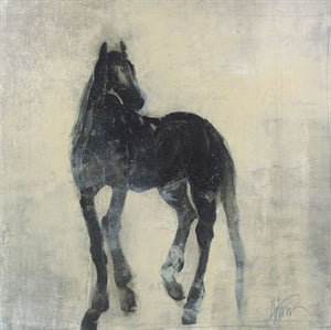 Noir 16W x 16H 7