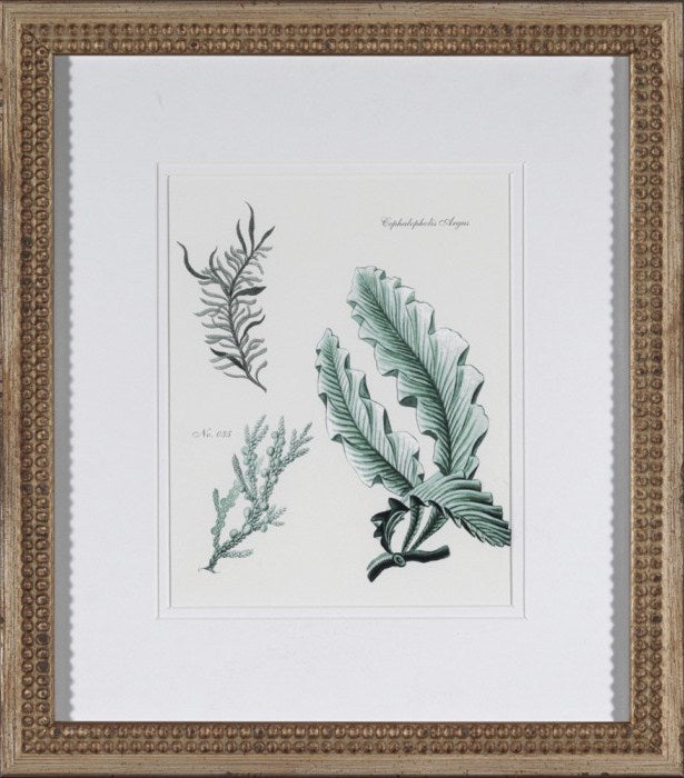  Teal Ocean Collection 7 15 x 18 1