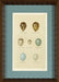  Shore Bird Egg Series IV 12 5 x 17 5 1