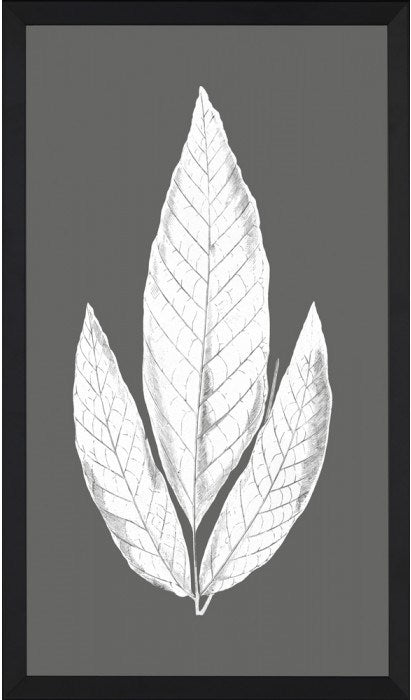  Charcoal Leaves I 15 5 x 25 5 1