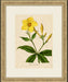  Radiant Floral 2 18 5 x 22 5 1