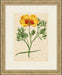  Radiant Floral 7 18 5 x 22 5 1