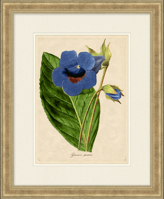  Radiant Floral 8 18 5 x 22 5 1