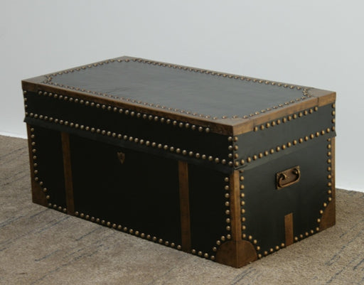 Black Leather and Brass Trunk 9