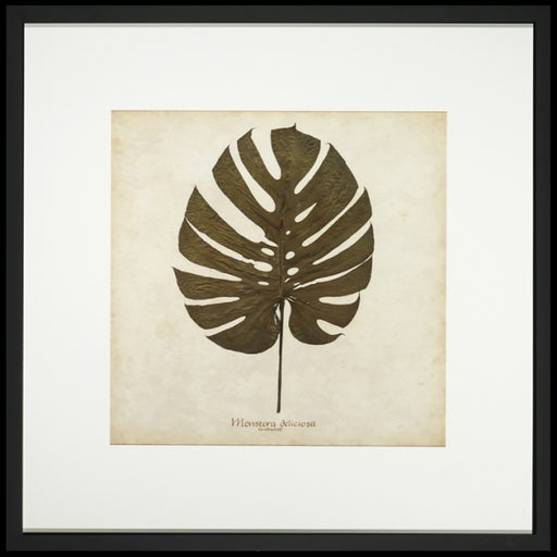 Window Leaf 7