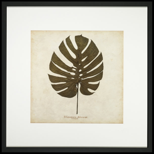 Window Leaf 7