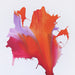 ABST1152 - A Fire In My Soul 1