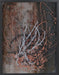 ABST1348 - Expressive Iterations VI