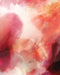 ABST680 Rich Fusion II