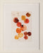 ABST713 Color Punch II 21W x 26H
