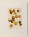 ABST714 Color Punch III 21W x 26H
