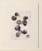 ABST715 Color Punch IV 21W x 26H