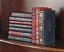 BOOK22 Set of 10 Rebound Leather Books