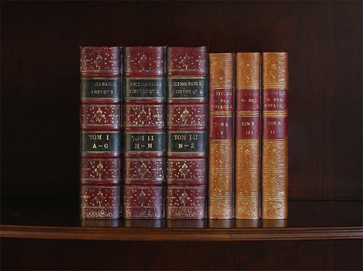 BOOK42 False Book Panel - Dictionnaire Historique