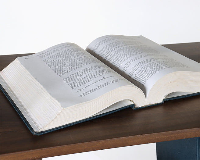 Constitutional Law Book