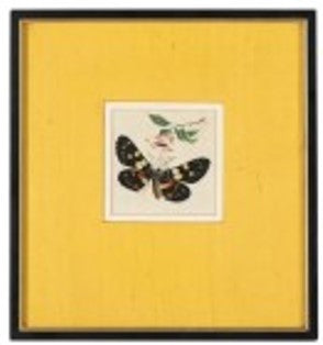 Antique Chinese Pith Painting 19th c. Butterfly 9W x 9.75H