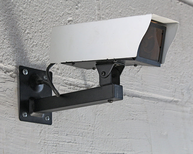 Surveillance Camera 2